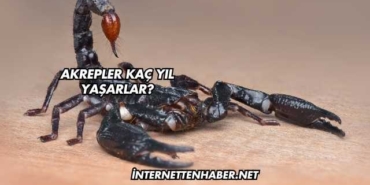 Akrepler Kaç Yıl Yaşarlar?