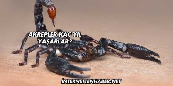 Akrepler Kaç Yıl Yaşarlar?