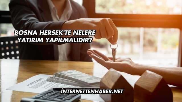 Bosna Hersek'te Nelere Yatırım Yapılmalıdır?