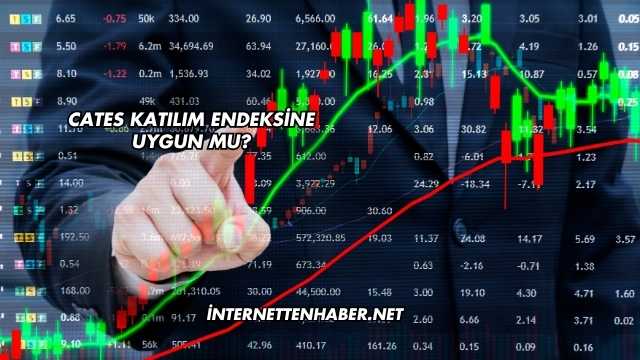 Cates Katılım Endeksine Uygun mu?