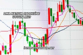DMR Katılım Endeksine Uygun mu?