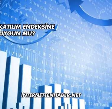 Gıpta Katılım Endeksine Uygun mu?