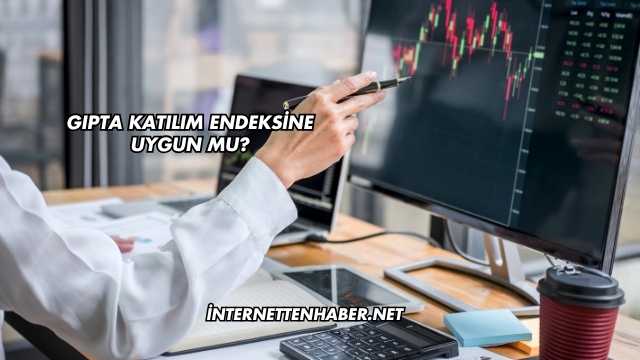 Gıpta Katılım Endeksine Uygun mu?
