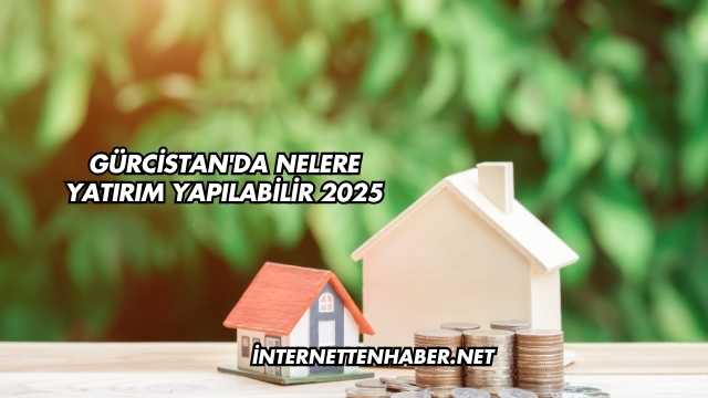 Gürcistan'da Nelere Yatırım Yapılabilir 2025
