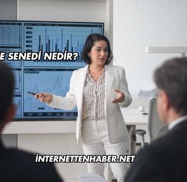 Hisse Senedi Nedir?