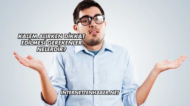 Kalem Alırken Dikkat Edilmesi Gerekenler Nelerdir?