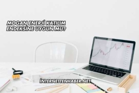 Mogan Enerji Katılım Endeksine Uygun mu?