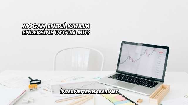 Mogan Enerji Katılım Endeksine Uygun mu?