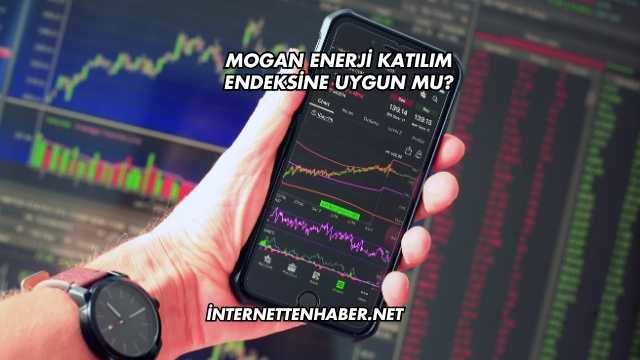 Mogan Enerji Katılım Endeksine Uygun mu?