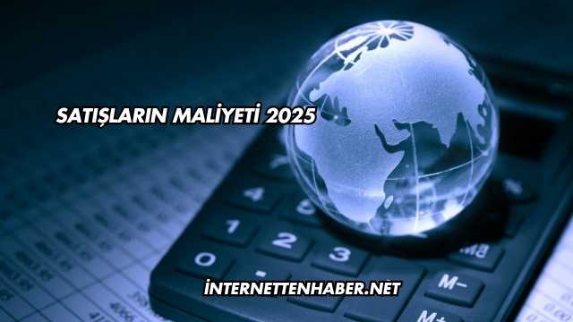 Satışların Maliyeti 2025