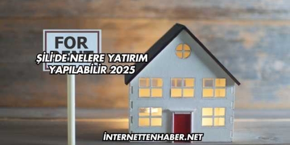Şili'de Nelere Yatırım Yapılabilir 2025