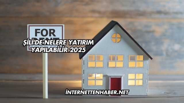 Şili'de Nelere Yatırım Yapılabilir 2025
