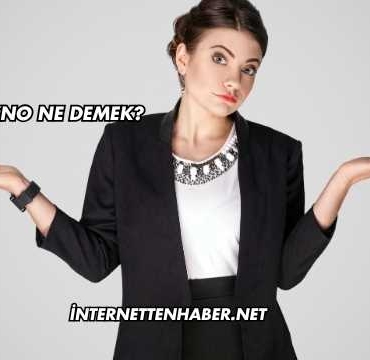Tekno Ne Demek?