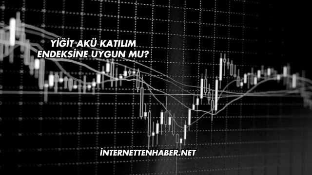 Yiğit Akü Katılım Endeksine Uygun mu?