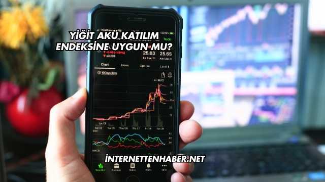 Yiğit Akü Katılım Endeksine Uygun mu?