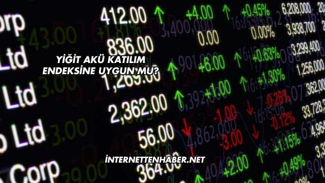 Yiğit Akü Katılım Endeksine Uygun mu?