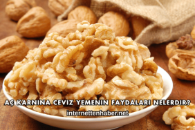 Aç Karnına Ceviz Yemenin Faydaları Nelerdir?