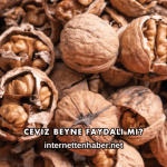 Ceviz Beyne Faydalı mı?