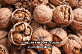 Ceviz Beyne Faydalı mı?