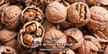 Ceviz Beyne Faydalı mı?