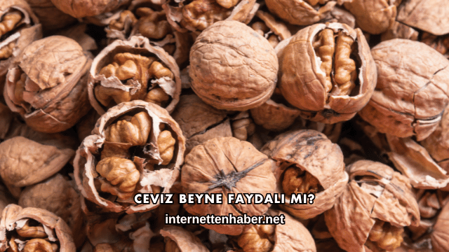 Ceviz Beyne Faydalı mı?