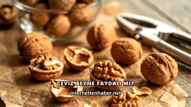 Ceviz Beyne Faydalı mı?