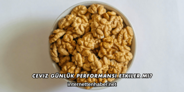 Ceviz Günlük Performansı Etkiler mi?