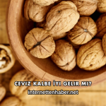 Ceviz Kalbe İyi Gelir mi?