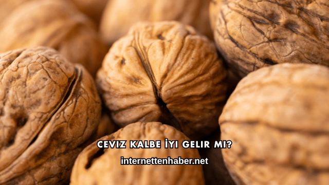 Ceviz Kalbe İyi Gelir mi?
