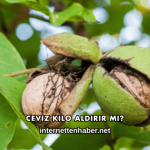 Ceviz Kilo Aldırır mı?