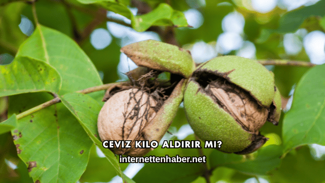 Ceviz Kilo Aldırır mı?