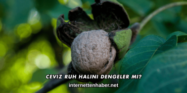 Ceviz Ruh Halini Dengeler mi?