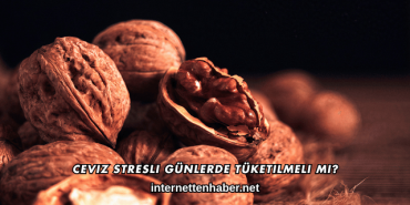 Ceviz Stresli Günlerde Tüketilmeli mi?