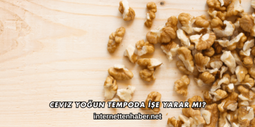 Ceviz Yoğun Tempoda İşe Yarar mı?