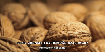 Ceviz Zihinsel Yorgunluğu Azaltır mı?