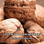 Cevizin Faydaları Nelerdir?