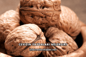 Cevizin Faydaları Nelerdir?