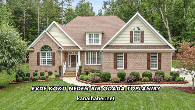 Evde Koku Neden Bir Odada Toplanır?
