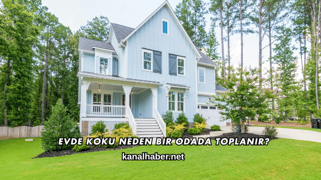 Evde Koku Neden Bir Odada Toplanır?