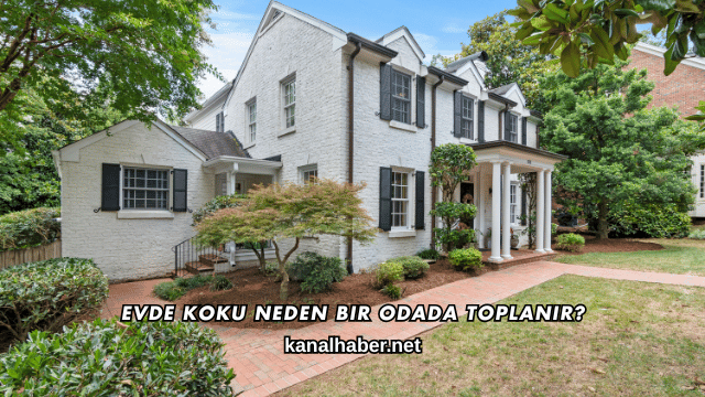 Evde Koku Neden Bir Odada Toplanır?