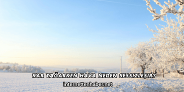 Kar Yağarken Hava Neden Sessizleşir?