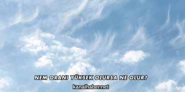 Nem Oranı Yüksek Olursa Ne Olur?